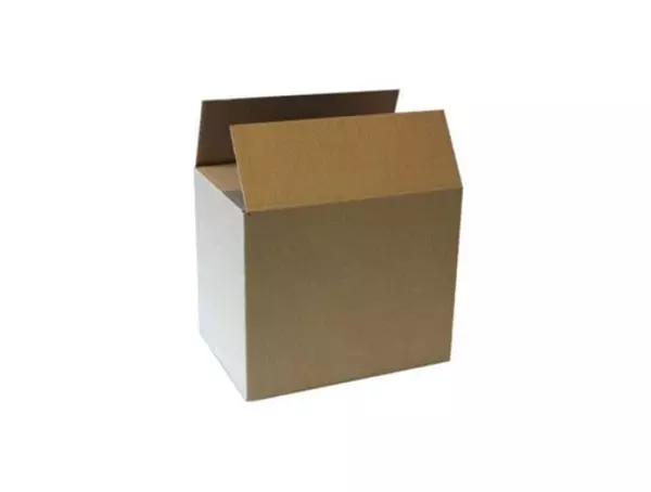 Amerikaanse vouwdoos enkele golf A4 305x220x250mm